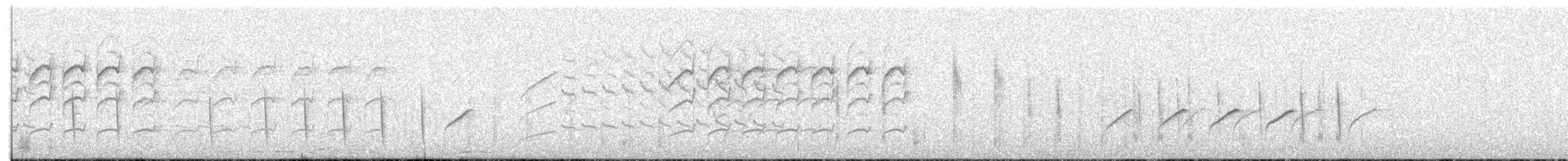 Cisticole grise - ML402221041