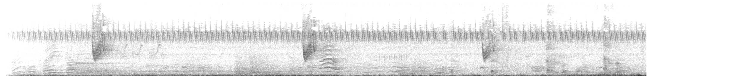 シロアゴヨタカ - ML402264981