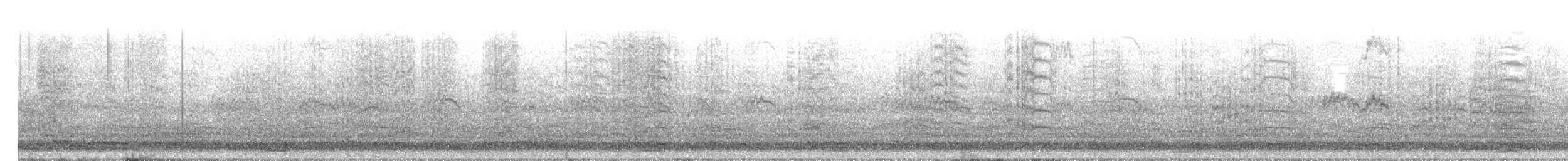 jeřáb bělohlavý - ML40241911
