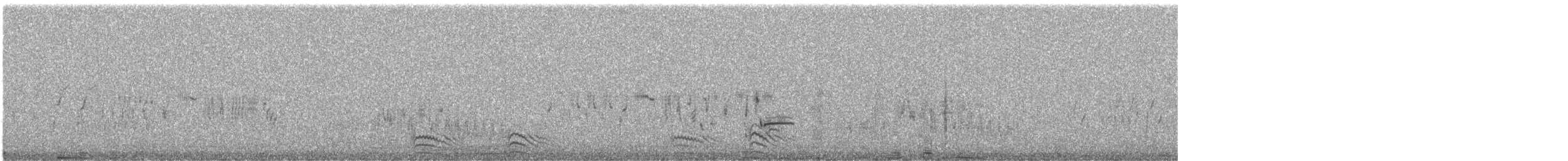 Pin-tailed Sandgrouse - ML402467671