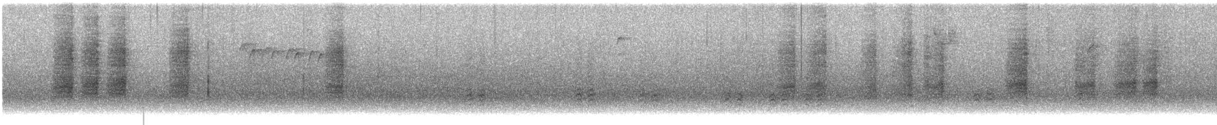 Поплітник каролінський - ML402483901