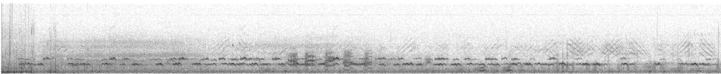 Zertzeta arrunta - ML402501011