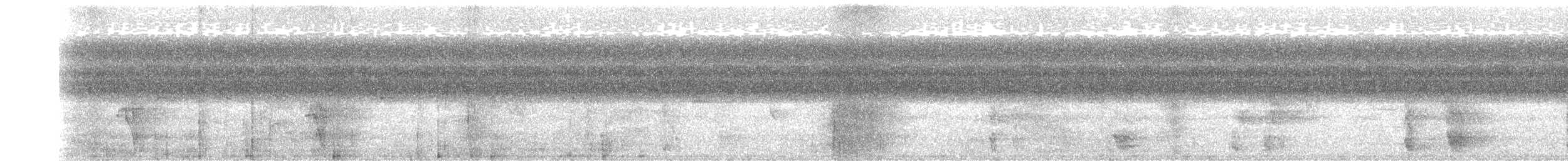Бледный амазон (guatemalae/virenticeps) - ML402634911