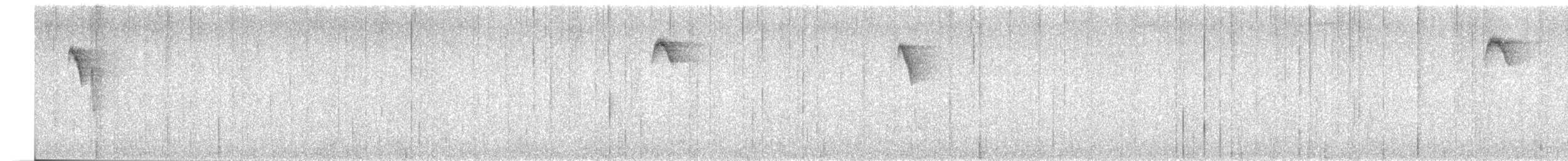 ノドジロキリハシハチドリ - ML402705111