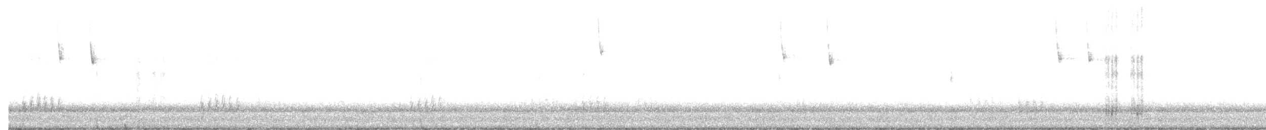 palmettospurv - ML402784521