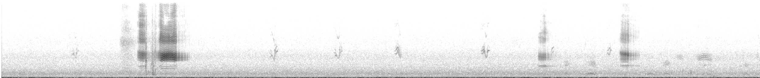 Common Goldeneye - ML402827641