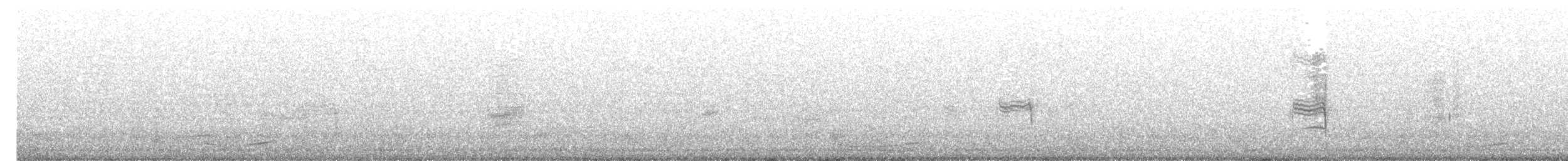 Pasifik Koeli (cyanocephalus/subcyanocephalus) - ML402833481