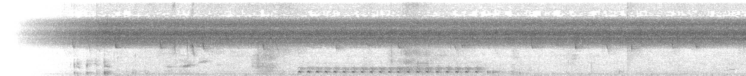 Slaty-tailed Trogon (Massena) - ML402835791