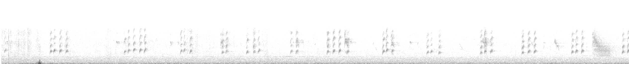 Carolina Wren - ML40285351