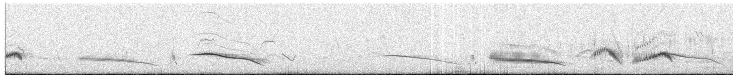 Жайворонок західний (підвид benguelensis/kaokoensis) - ML402932761