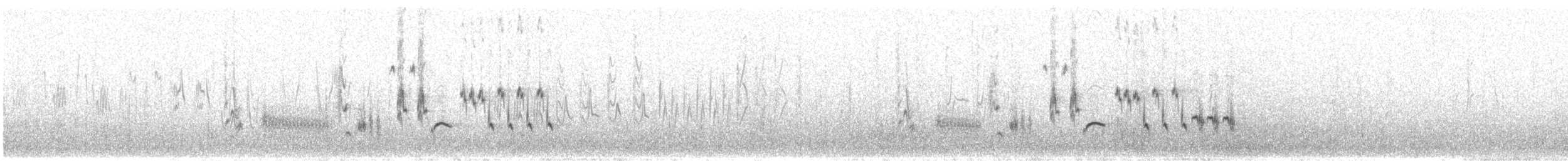 Фолклендский крапивник - ML402959841