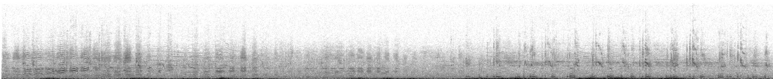 Southern Rockhopper Penguin - ML402964121