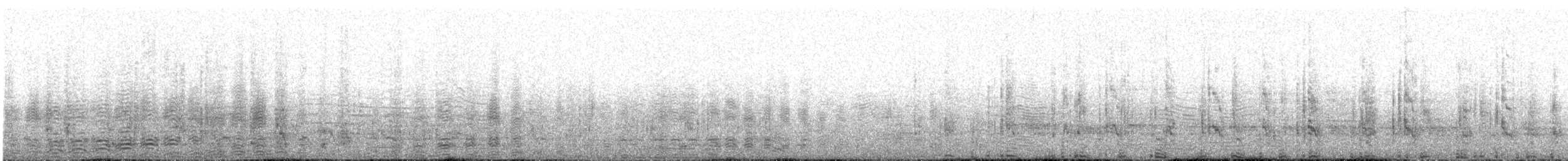 Pingüino Saltarrocas Meridional - ML402964121