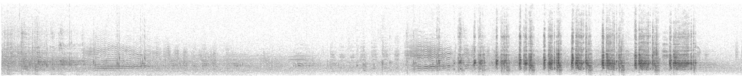 Pingüino Saltarrocas Meridional - ML402966921