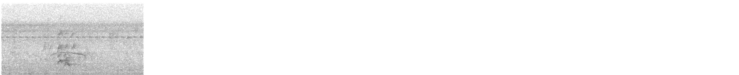 Swainson's Flycatcher - ML402972131