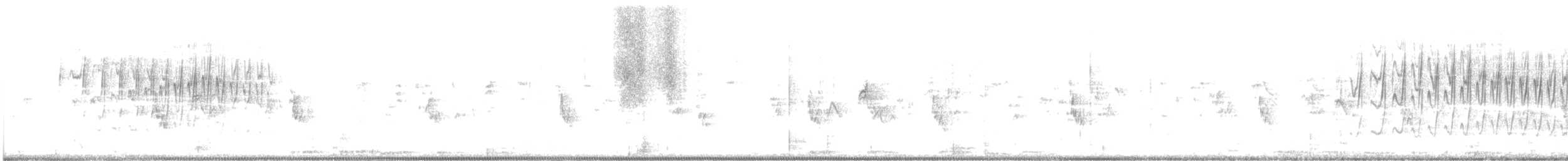 White-crested Tyrannulet (White-bellied) - ML403016331