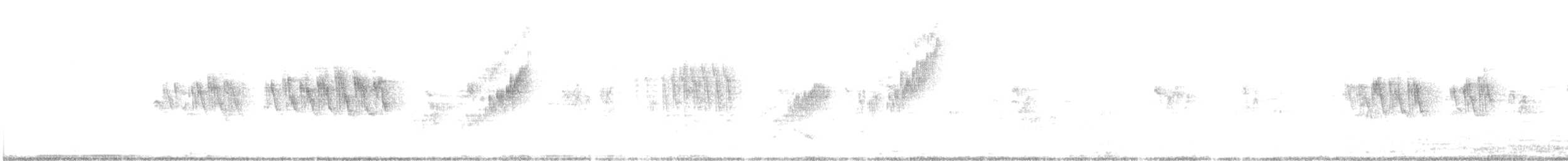 Band-tailed Seedeater - ML403017251