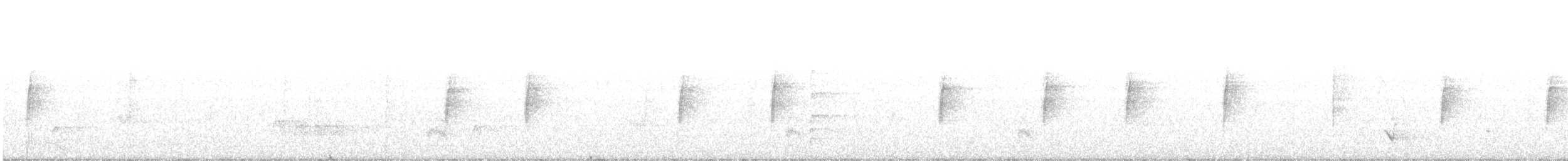 Гранатела велика (підвид venustus) - ML403070061