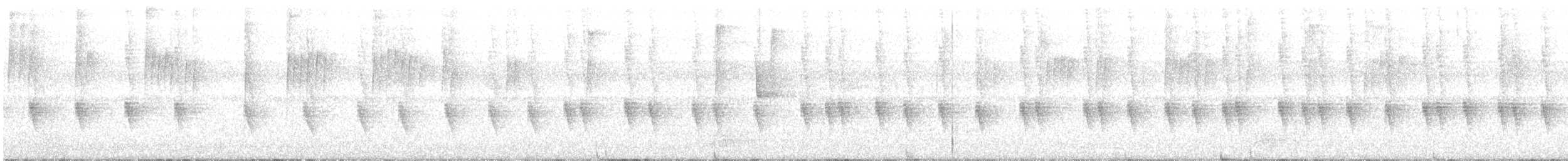 Blaukron-Degenflügel (excellens) - ML403114591