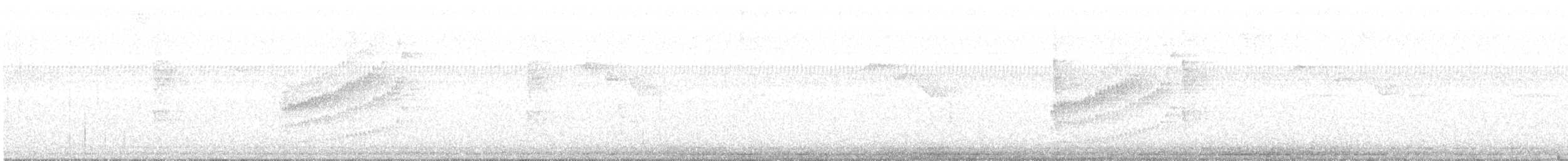 Поплітник плямистий - ML403114971