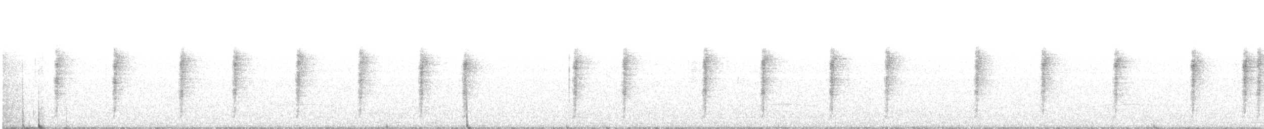 Troglodyte modeste - ML403121421