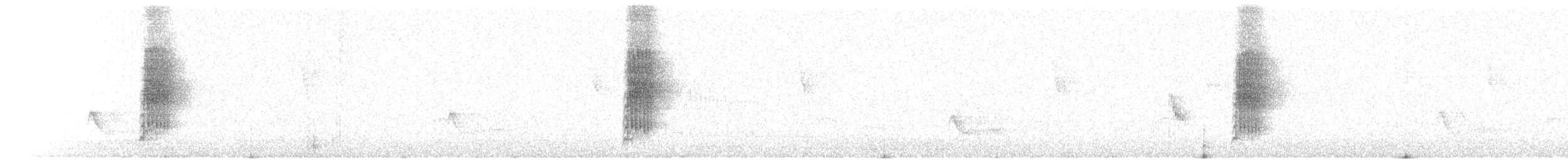 Austral Thrush - ML403192261