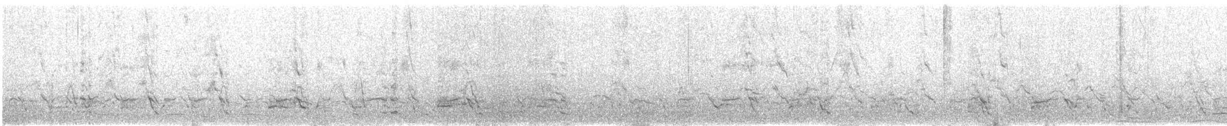 Magellanic Cormorant - ML403255621