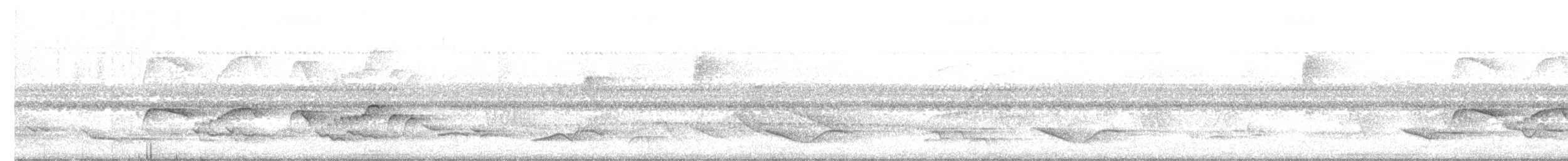Atlantik Karınca Tiranı - ML403284351