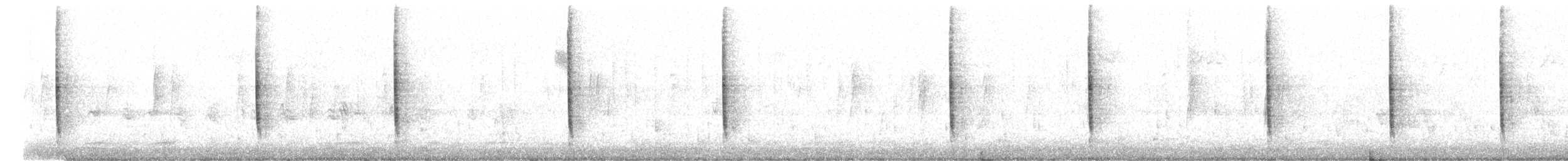 revespurv (schistacea gr.) (skiferrevespurv) - ML403323801