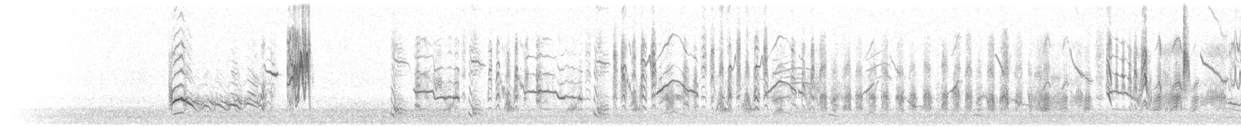 Star - ML403343411