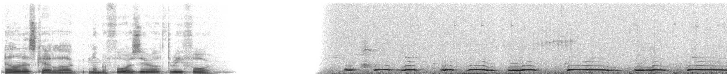 Ak Kanatlı Kumru - ML4034