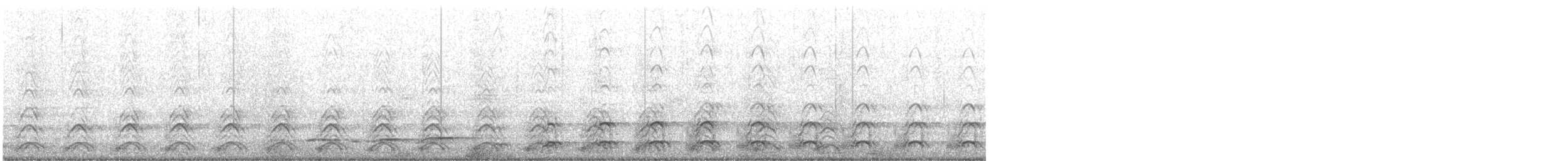 Western Gull - ML403406571