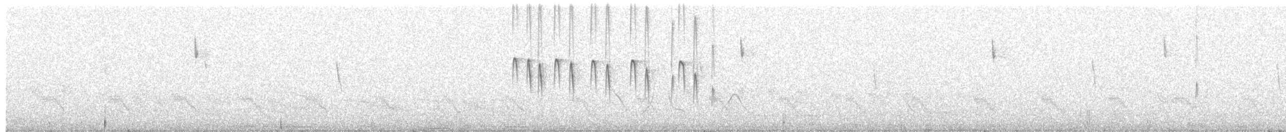 hvitissetyrannulett (munda) - ML403500961