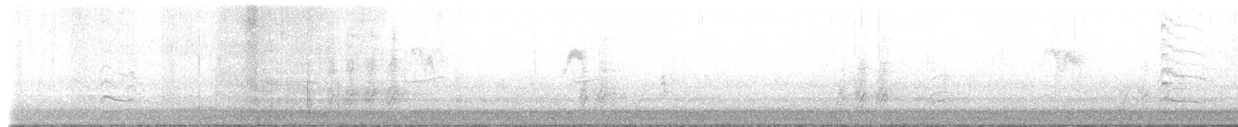 Дятел-смоктун білочеревий - ML403520581
