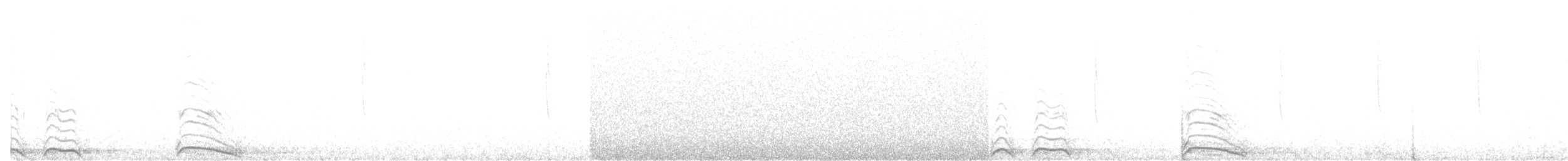 Сова плямиста - ML403521481
