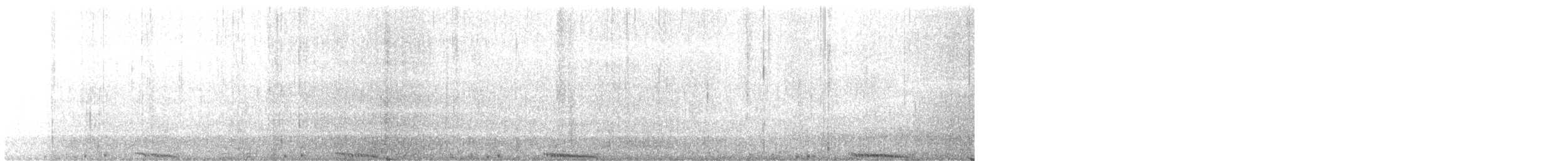 holub skalní (domácí) - ML403528951