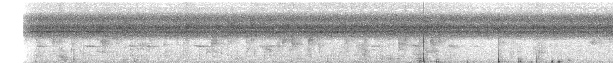 Колібрі-шаблекрил юкатанський (підвид excellens) - ML403534051