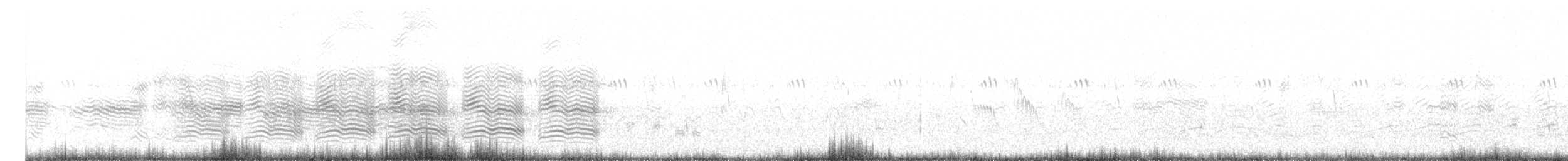 Large Gray Babbler - ML403545211