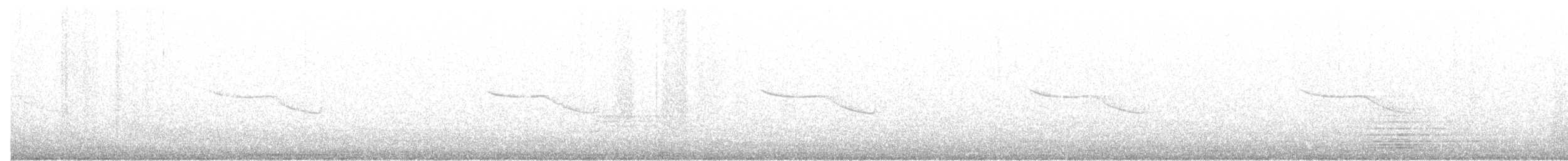 Breitspiegel-Nachtschwalbe - ML403562771