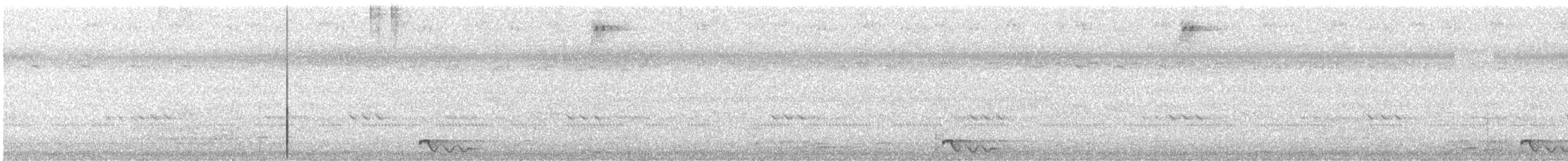 Chotacabras Marajá - ML403595341