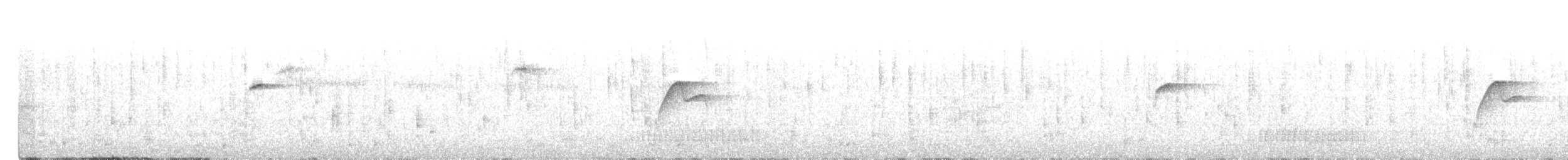 Batı Amerika Sinekkapanı (occidentalis/hellmayri) - ML403774101