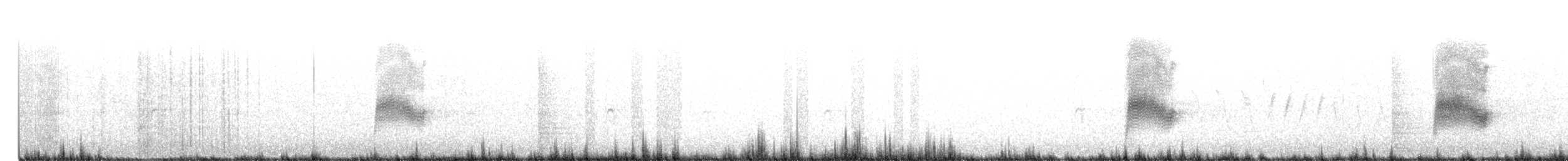 nordnatthauk - ML403831931