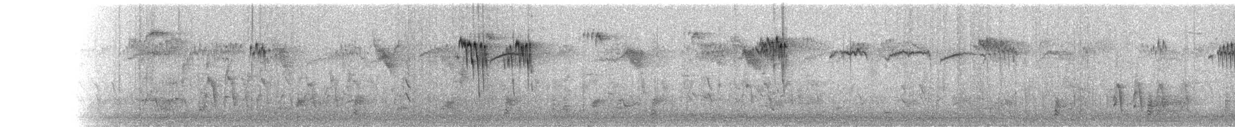 Zedernseidenschwanz - ML403891591
