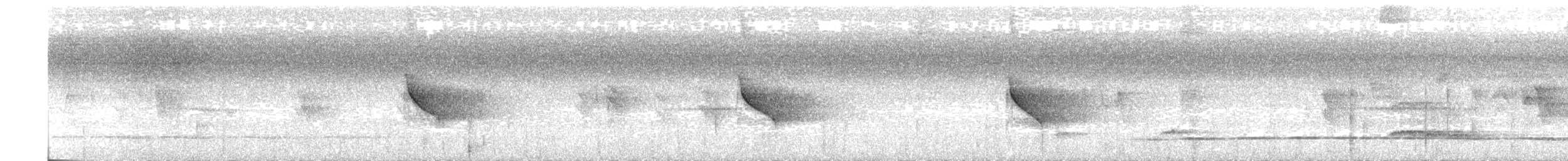 White-throated Shrike-Tanager - ML403999981