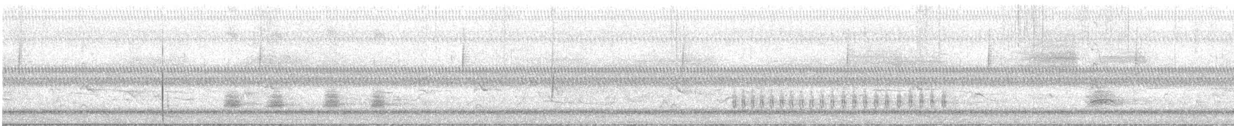 オオアメリカムシクイ - ML404003221