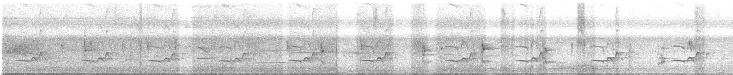 Gray-collared Becard - ML404060421