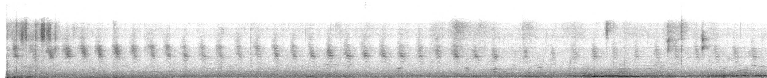 Vireo Plomizo (grupo plumbeus) - ML404098711