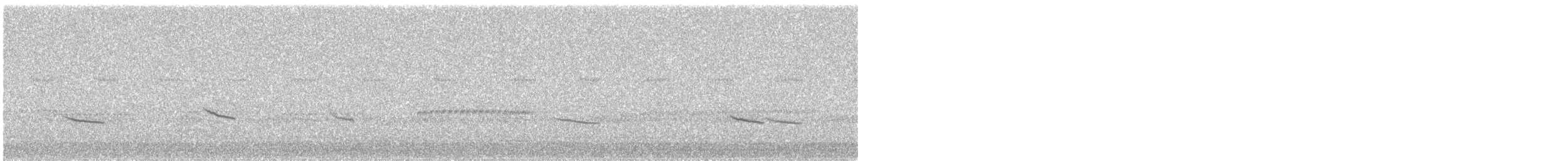 Дрізд-короткодзьоб плямистоволий - ML404134051