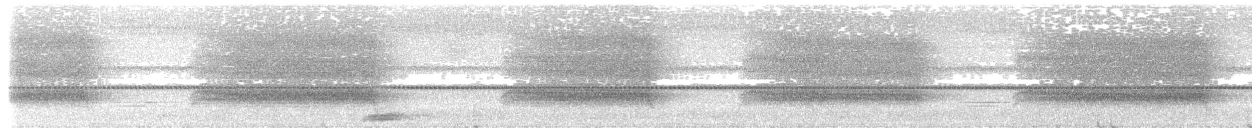 Сипуха темно-бура - ML404162801