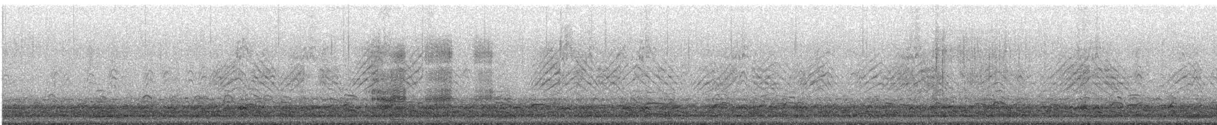 Cackling Goose - ML404170741